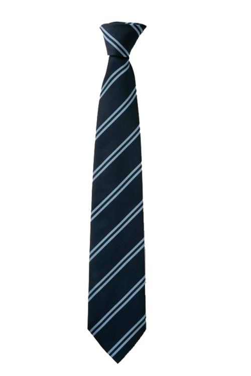 School Tie for The Greater Grace International School (45