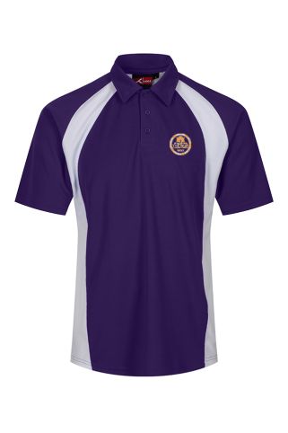 Sports polo purple/white badged with school logo for The Park Community School
