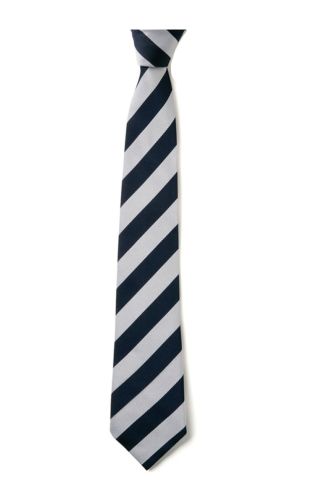 Brinsworth Academy Tie