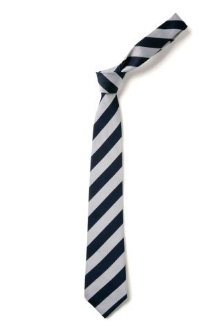 Folkestone Academy Tie