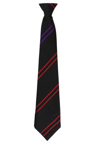 English Martyrs School Purple Tie (St John Boste)