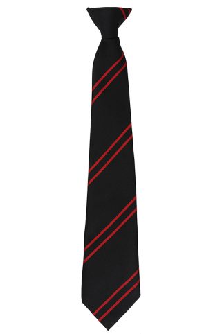 English Martyrs School Red Tie (St Anne Line)
