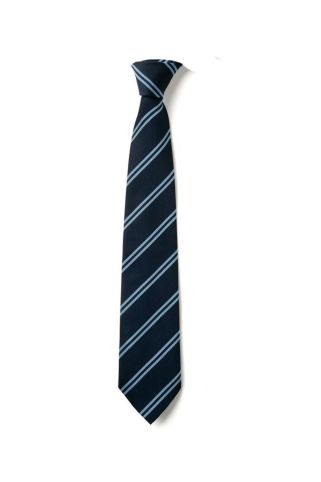 The Kingfisher CE Academy School Tie