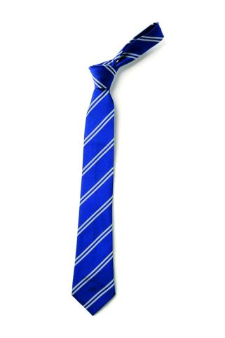 Farington Primary School Tie