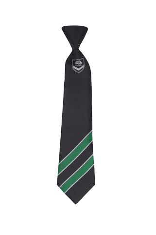 Boys Tie (EAGLES HOUSE) badged with school logo for Heathside School, Weybridge