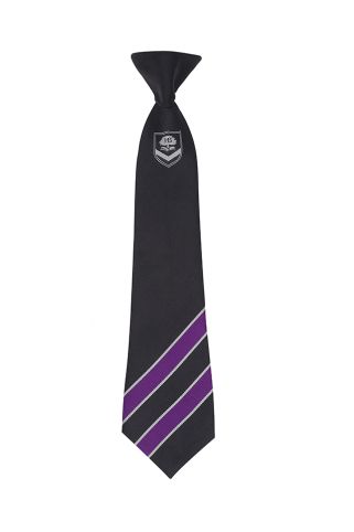 Boys Tie (HAWKS HOUSE) badged with school logo for Heathside School, Weybridge