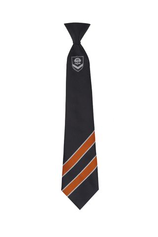 Boys Tie (FALCONS HOUSE) badged with school logo for Heathside School, Weybridge