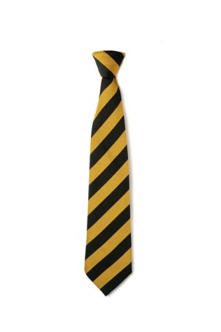 DINNGTON HIGH SCHOOL BLACK AND GOLD TIE